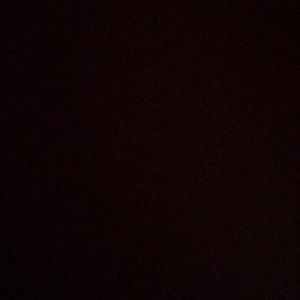 Meet your Posher, Gracie